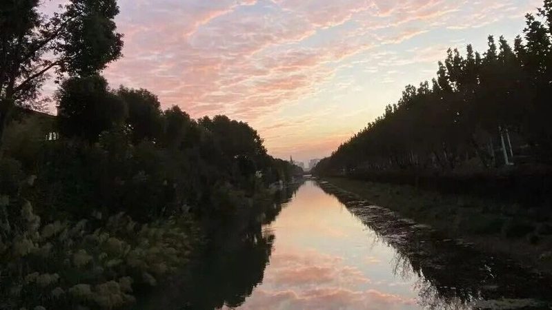 成都餐饮商标转让公司推荐